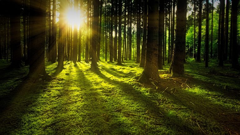 Acceptance is Key-How to Tame the Desperate Longing for More