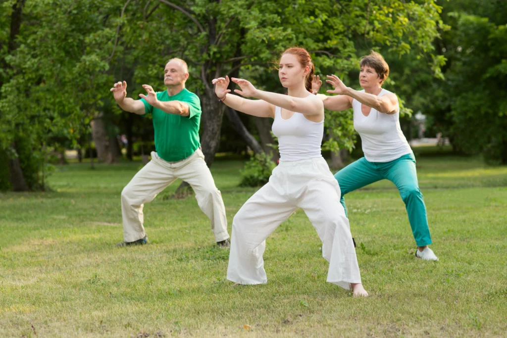 qi gong therapy in asheville