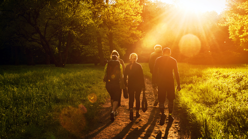 You and your group can take a nature walk, notice the details as you walk, and pay attention to the sounds of rustling leaves, birds calling, or the wind blowing through the trees.