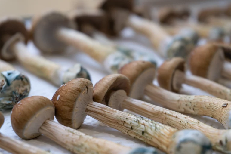 Can You Smoke Shrooms? What You Should Know