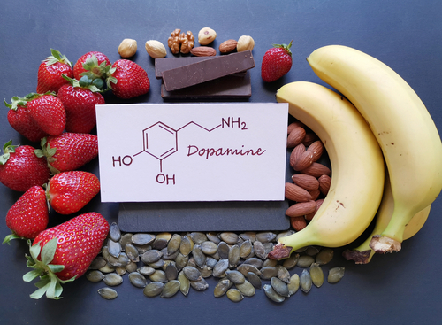 Dopamine is directly responsible for pleasurable sensations and the motivation to achieve those sensations.