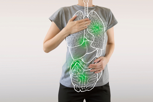 MDMA and methamphetamine pose significant dangers and side effects due to their impact on the central nervous system and organs. 