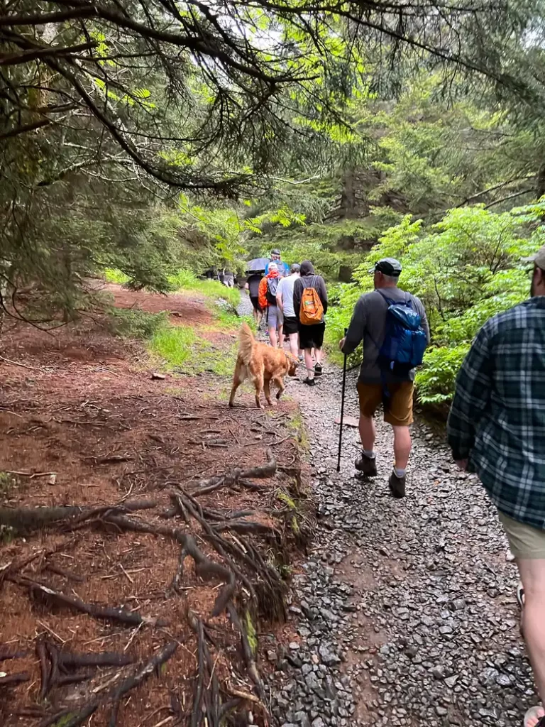 a group with a dog hiking in the forest