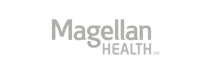 ins logo magellan 1