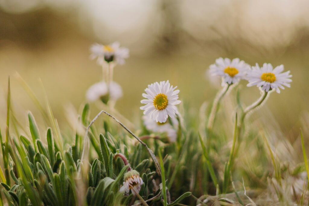 Principles of aftercare in addiction recovery