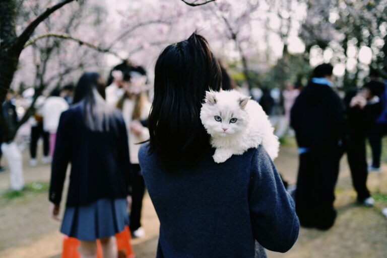Addiction recovery with animal-assisted therapy
