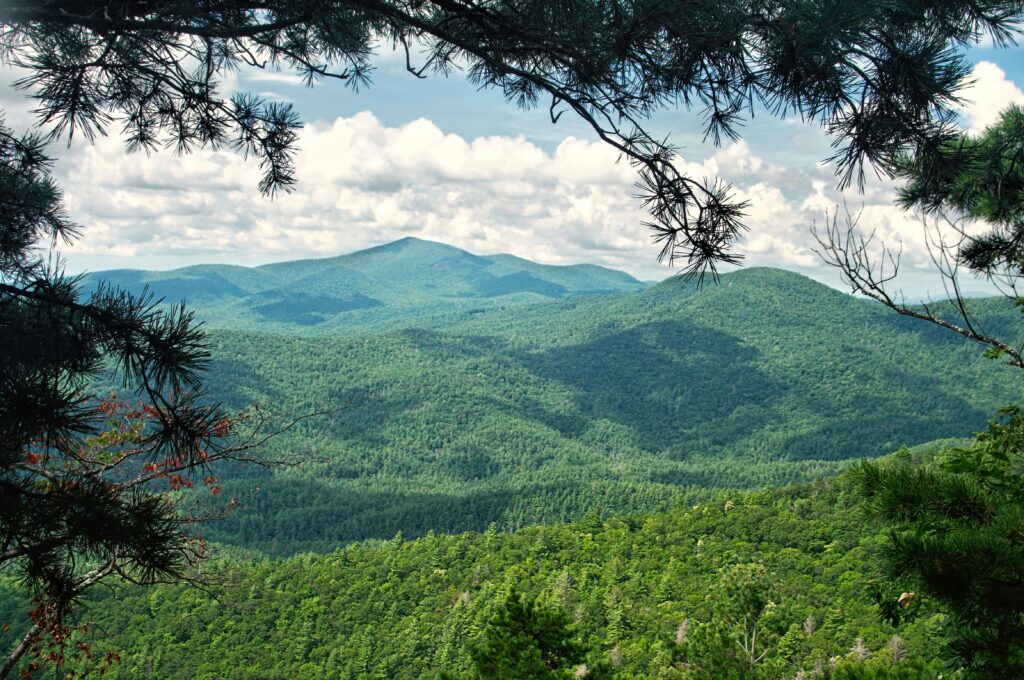 Rehab insurance in Asheville, NC
