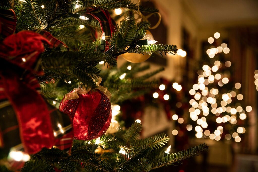 Holiday relapse next steps
