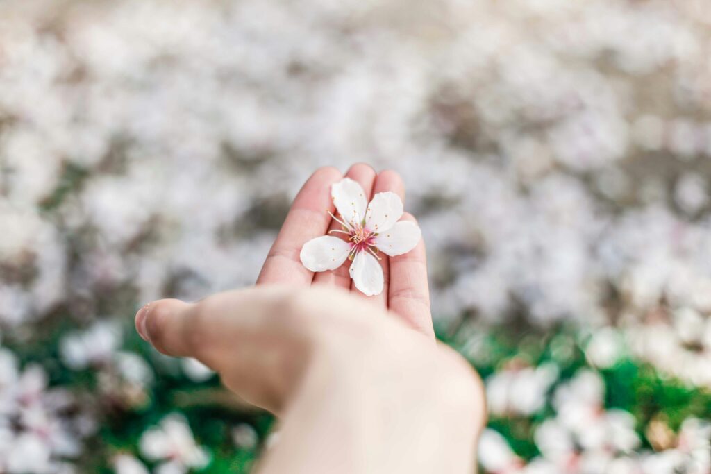 Holistic wellness for addiction recovery