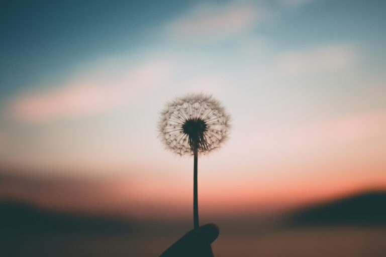 Self-advocacy in addiction recovery