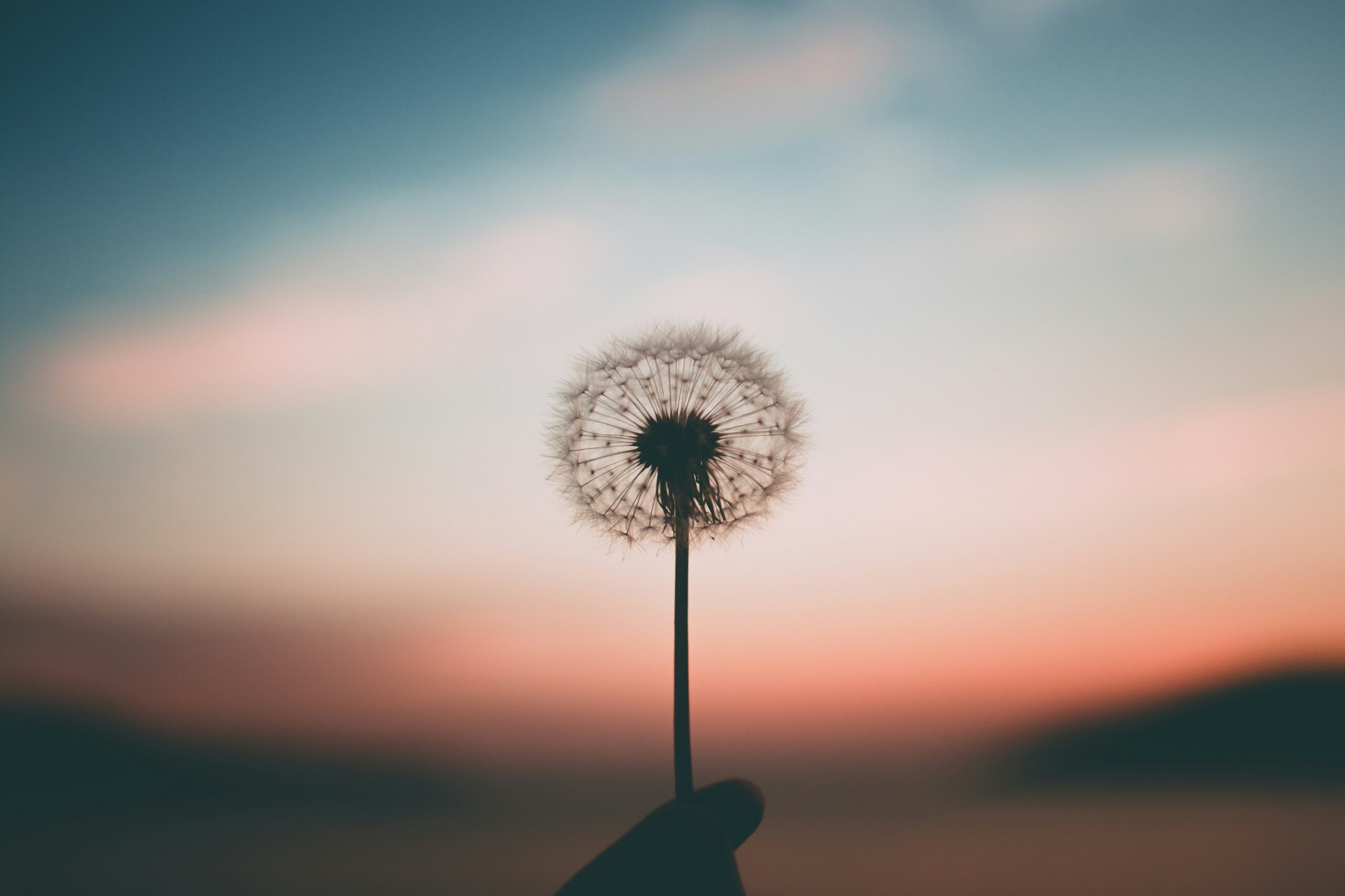 Self-advocacy in addiction recovery