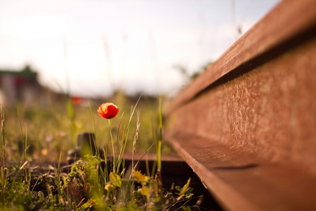 What is self-advocacy in addiction recovery