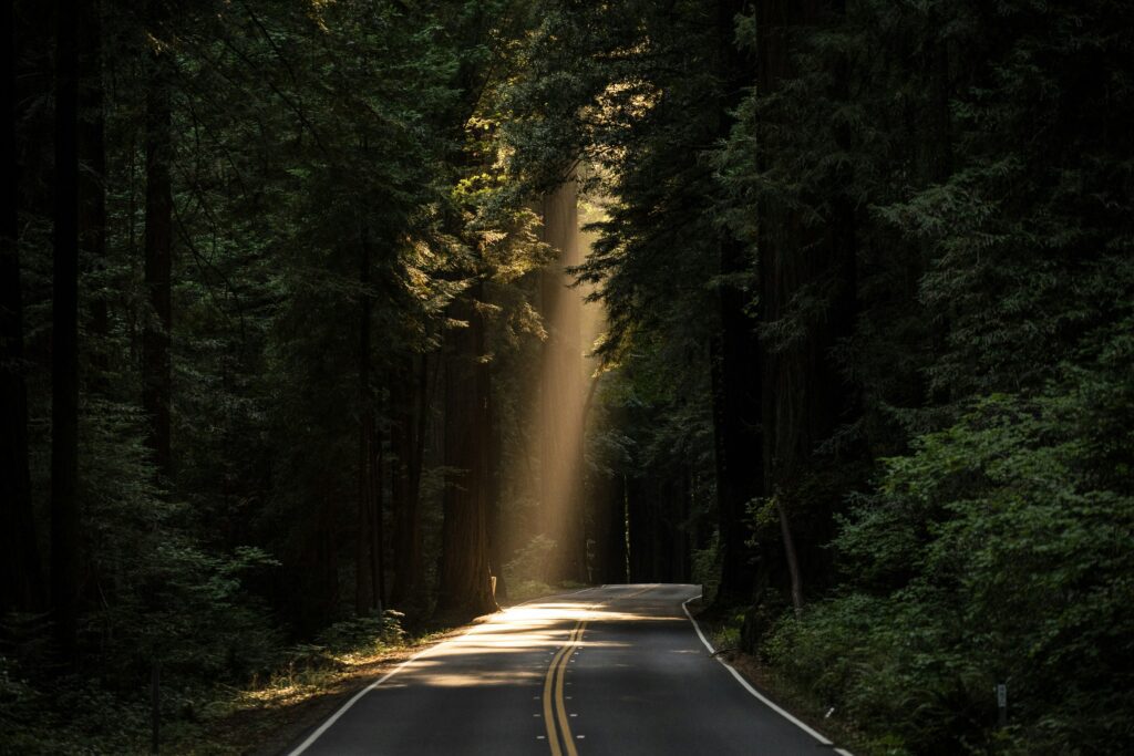 How to implement self-advocacy in recovery