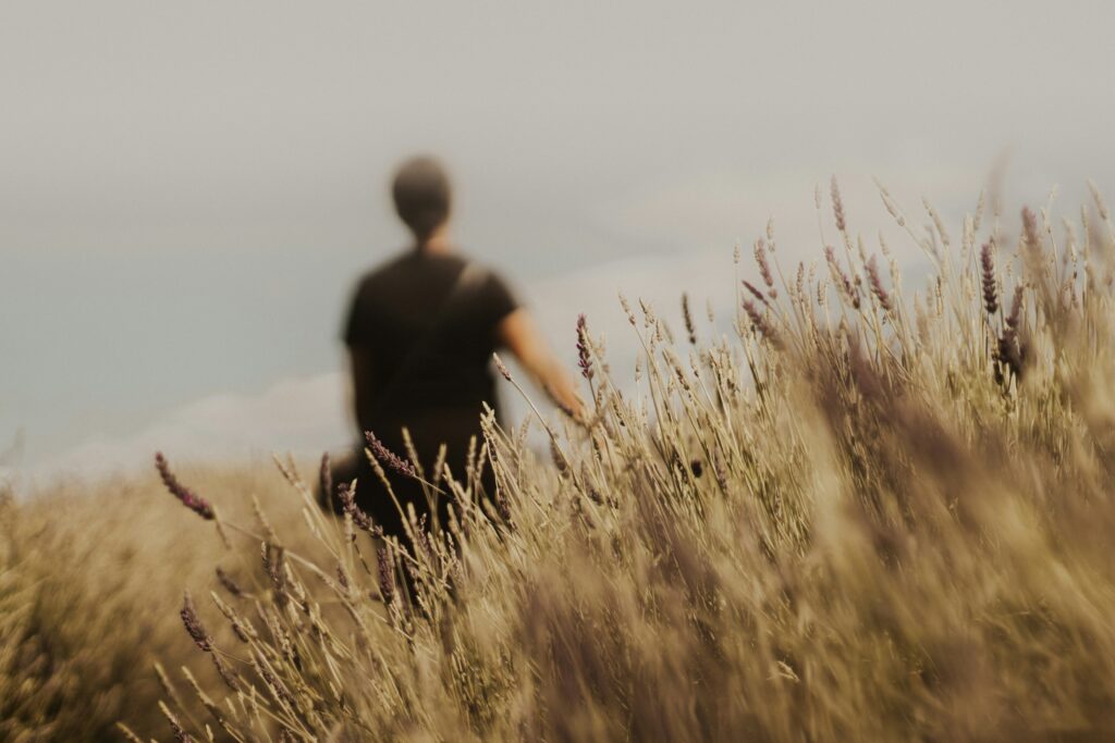 Alcohol detox and rehab in Asheville, NC
