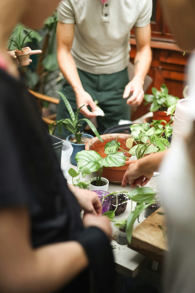 What happens after detox in Asheville, NC?